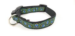 Peacock Feathers on Black - 1" Collar
