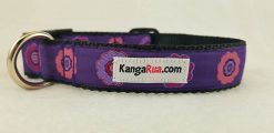 Pink & Purple Flowers on Purple - 1" Collar - Large