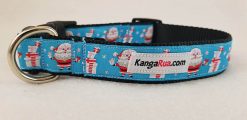 Santa on Light Blue - 1" Collar