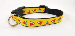 Watermelon Slices on Yellow - 1" Collar