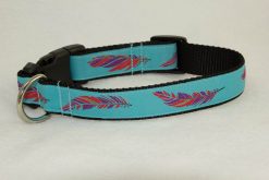 Colorful Feather on Bright Blue - 1" Collar