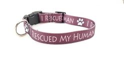 I Rescued My Human on Burgandy - 1" Collar