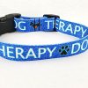 Therapy Dog on Blue - 1" Collar