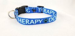 Therapy Dog on Blue - 1" Collar