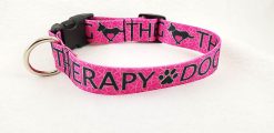 Therapy Dog on Pink - 1" Collar