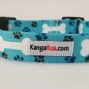 White Bones on Teal Webbing - 1" Collar