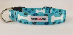 White Bones on Teal Webbing - 1" Collar