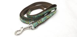 Green & Blue Targets on Brown - 6' Leash - 3/4" Width
