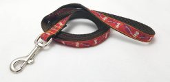 My Little Angel / My Little Devil on Burnt Orange - 6' Leash - 3/4" Width