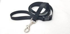 Black Webbing Leash - 6' Leash with Buckle - 3/4" Width