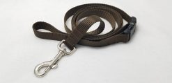 Brown Webbing Leash - 6' Leash with Buckle - 3/4" Width