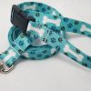 White Bones on Teal Webbing - 6' Leash with Buckle - 1" Width