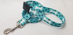 White Bones on Teal Webbing - 6' Leash with Buckle - 1" Width