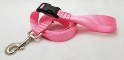 Pink Webbing Leash - 6' Leash with Buckle - 1" Width