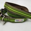 Green & Brown Stripes Set - 1" Medium Collar, 5' Leash