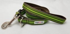Green & Brown Stripes Set - 1" Medium Collar, 5' Leash