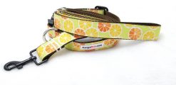 Orange Slices on Green Set - 1" Large Collar, 5' Leash