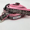 Black & White Set - 1" Small Collar, 5' Leash
