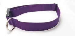 Purple Webbing Collar - 1.5" Collar